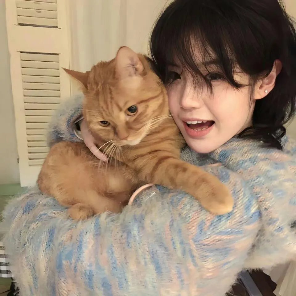 穿越洪荒当玉帝